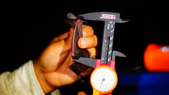 Macrotus waterhousii