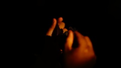 Macrotus waterhousii