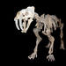 Saber-toothed Cats - Photo (c) the paleobear, some rights reserved (CC BY)
