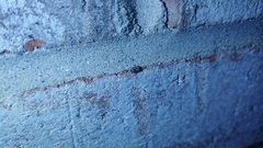 Clastoptera arborina