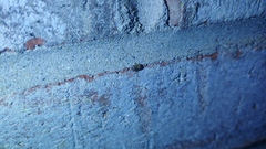 Clastoptera arborina