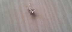 Lecithocera