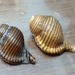 トウマキ