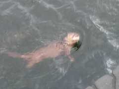 Lontra provocax