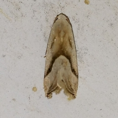 Micrathetis