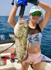 Mycteroperca microlepis