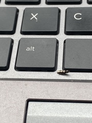 Monopis dorsistrigella