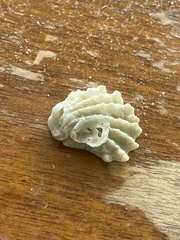 Plicatula gibbosa