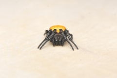 Araneus sernai