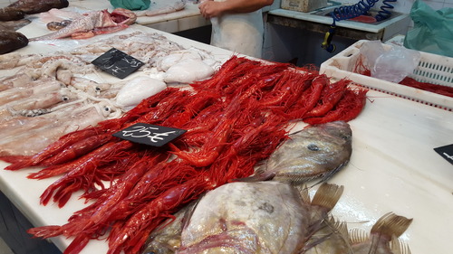 scarlet gamba prawn