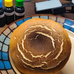 Tylopilus ferrugineus