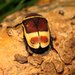 Taxicab Beetle - Photo (c) Ltshears, some rights reserved (CC BY-SA)