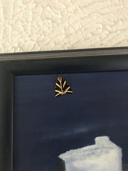 Euplagia quadripunctaria