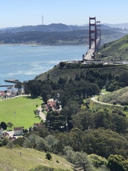 Icaricia icarioides missionensis