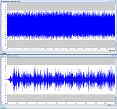 Cryptotympana atrata