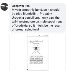 Urodexia