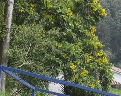 Senna viarum