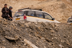 Montifringilla henrici