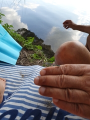 Platycnemis pennipes