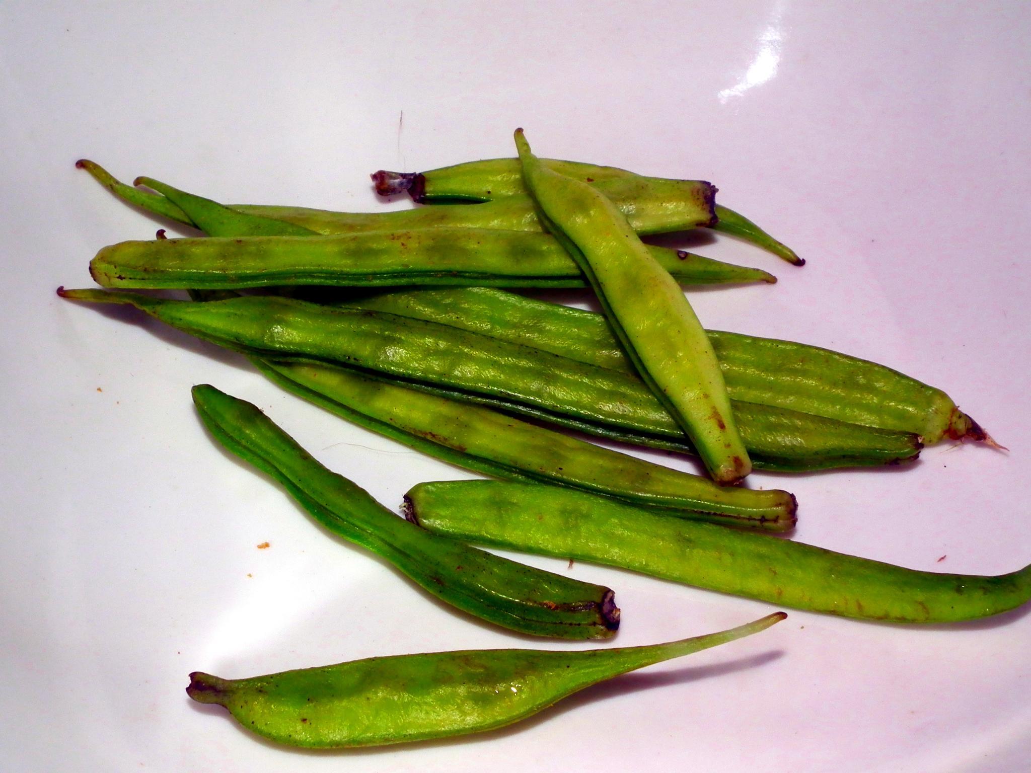 Cyamopsis tetragonoloba