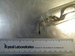 Tantilla hobartsmithi