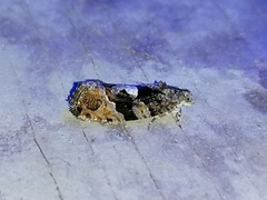 Eudemis