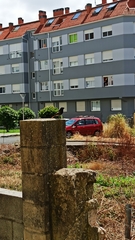 Phoenicurus ochruros