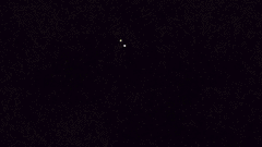 Vesperelater arizonicus