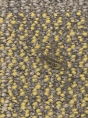 Scutigera coleoptrata