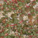 Portulaca bicolor - Photo (c) coenobita, algunos derechos reservados (CC BY), subido por coenobita