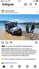 Sideritis hyssopifolia