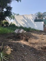 Notocitellus annulatus