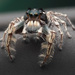 Putnam's Jumping Spider - Photo Nosferattus, no known copyright restrictions (public domain)