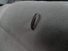 Chtonobdella limbata