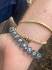 Polybia occidentalis bohemani