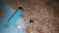 Eleutherodactylus pallidus