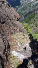 Platanthera unalascensis