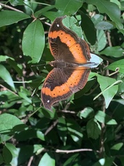 Precis tugela tugela