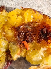 Grapholita funebrana