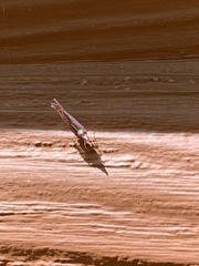 Apache