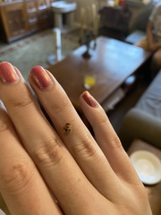 Paropsisterna m-fuscum