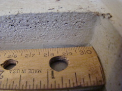 Iridopsis vellivolata