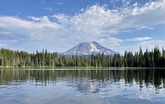 Isoetes occidentalis