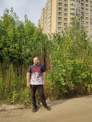 Phragmites australis altissimus