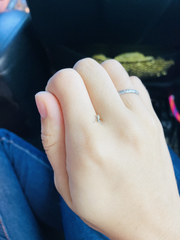 Pandeleteius nodifer