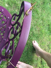 Potamogeton richardsonii