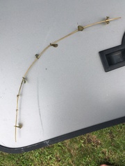 Potamogeton richardsonii