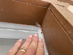 Pseudohemihyalea edwardsii