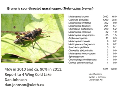 Melanoplus bruneri