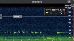 Pipistrellus abramus